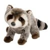 Ringo The Plush Raccoon By Douglas