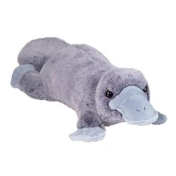 Soft Allie The 16 Inch Plush Platypus By Douglas