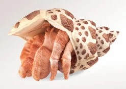 Full Body Hermit Crab Puppet By Folkmanis Puppets -Boutique plush toy store FK 2867 5