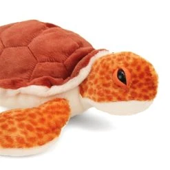 Cuddlekins Loggerhead Sea Turtle Stuffed Animal By Wild Republic -Boutique plush toy store WR 21464 4