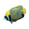 Stuffed Emperor Angel Fish Coral Reef Plush By Wild Republic